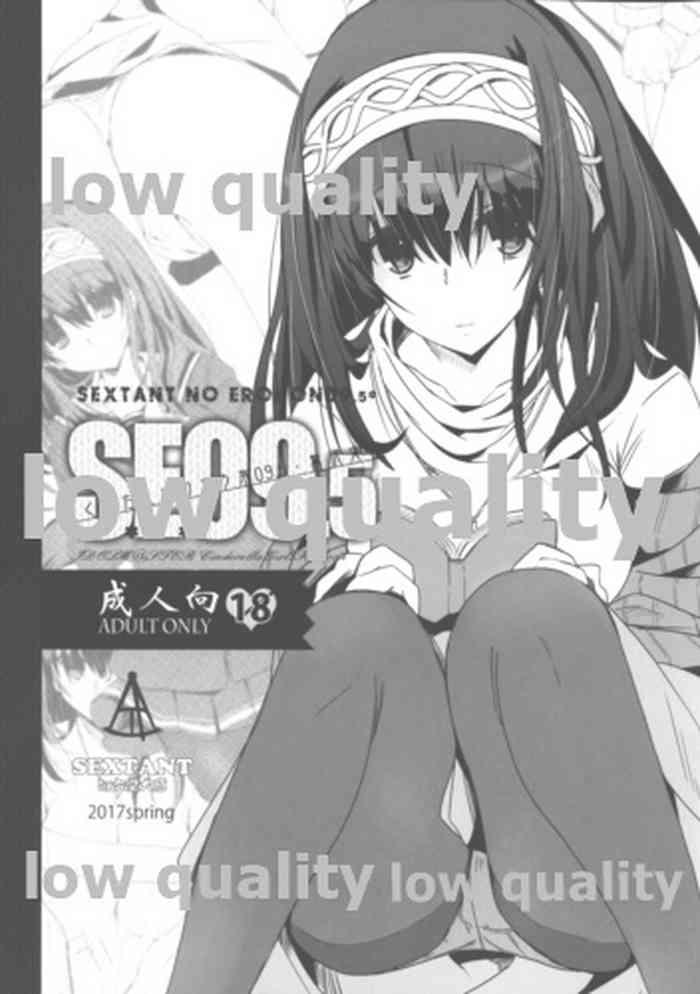 s e 09 5 cover