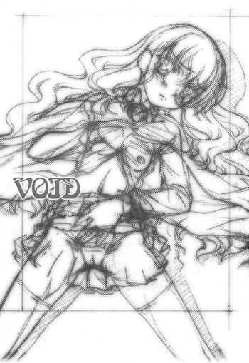 void cover 2