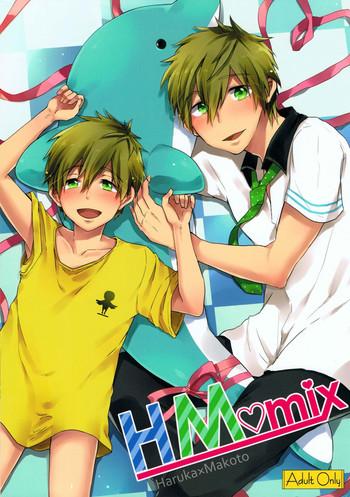 hm mix cover