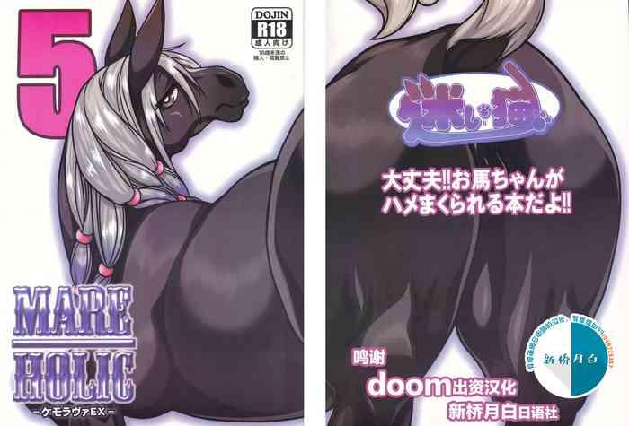 mare holic 5 cover