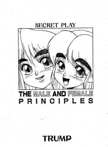 secret play the male and female principles cover