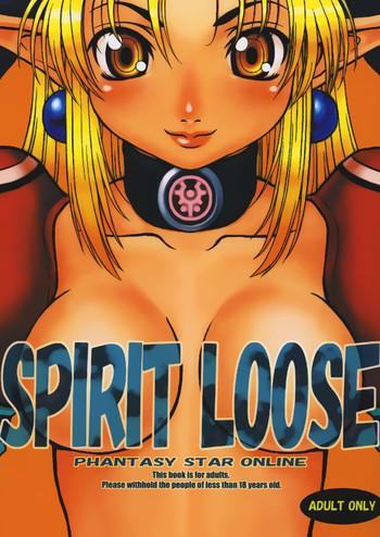 spirit loose cover