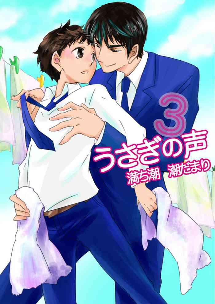 usagi no koe 3 cover