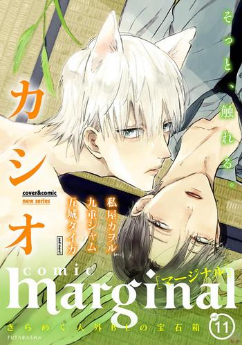 comic marginal vol 11 cover