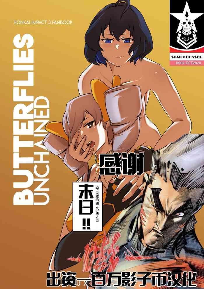 hi3rd doujinshi 002 butterflies unchained cover