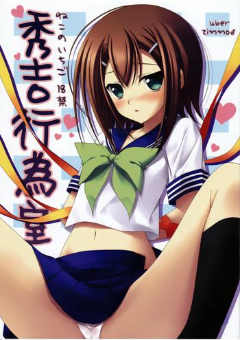 hideyoshi koishitsu cover